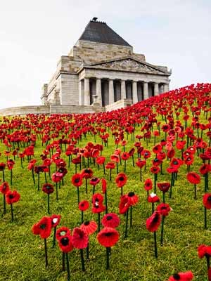 Stemmed poppies on the Shrine mounds