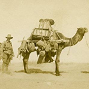 Australian soldier with the Camel Transport, Sinai