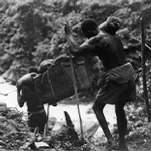 Papuan porters carry heavy loads of supplies