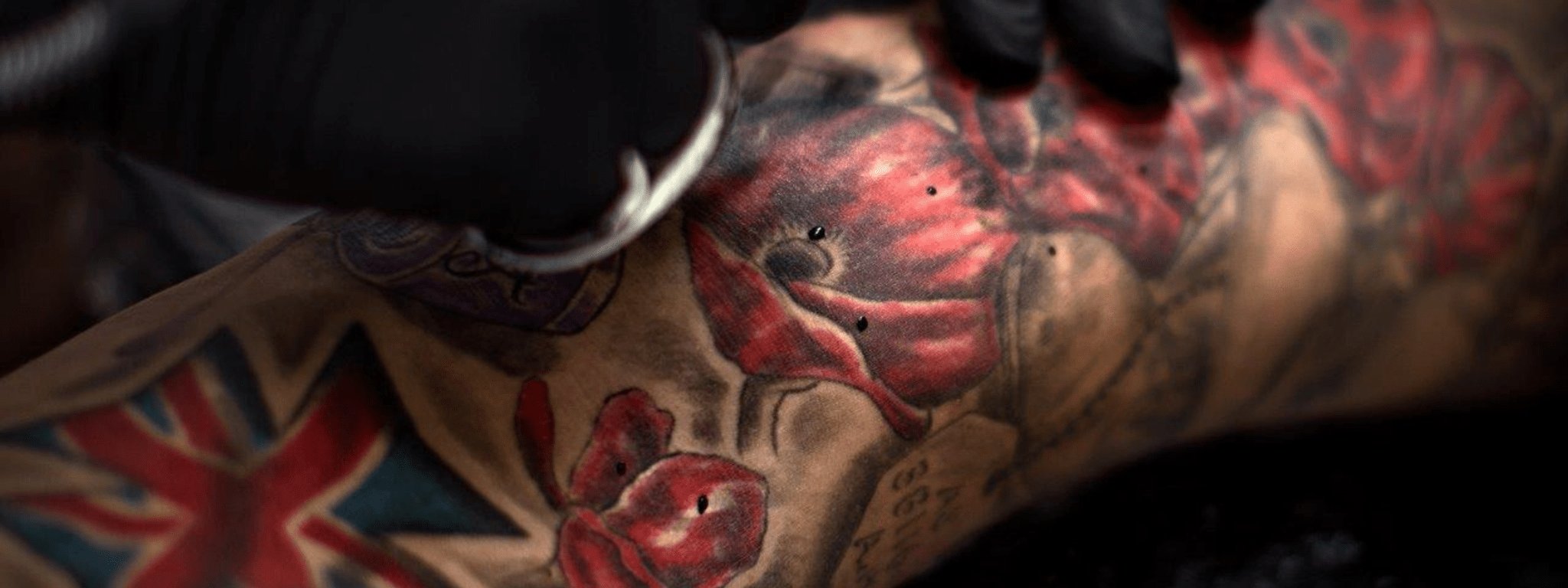 Ink in the Lines | shrine.org.au