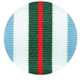 A sample of the INTERFET medal