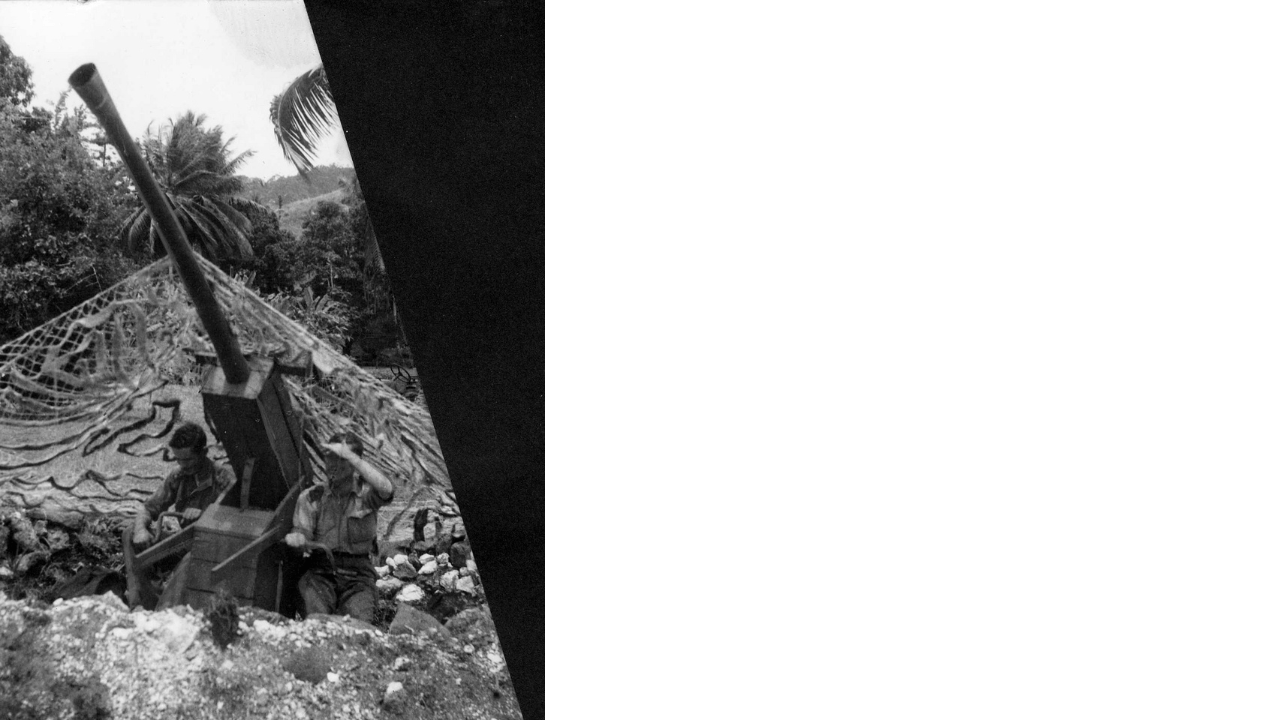 Camouflaged wooden Bofors anti-aircraft gun used in deception on Goodenough Island, 1943